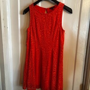 City Triangles Vibrant Red Lace Mini Dress